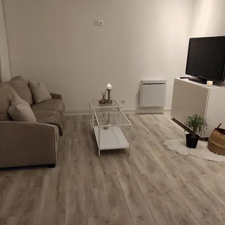 Apartment Love Room,jacuzzi Privatif, Netflix *