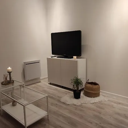 Logement Entier,Netflix, Jacuzzi En Option Apartmán Argenteuil