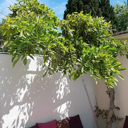 Logement Entier,Netflix, Jacuzzi En Option * Argenteuil