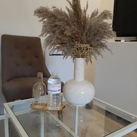 Logement Entier,Netflix, Jacuzzi En Option Apartmán *