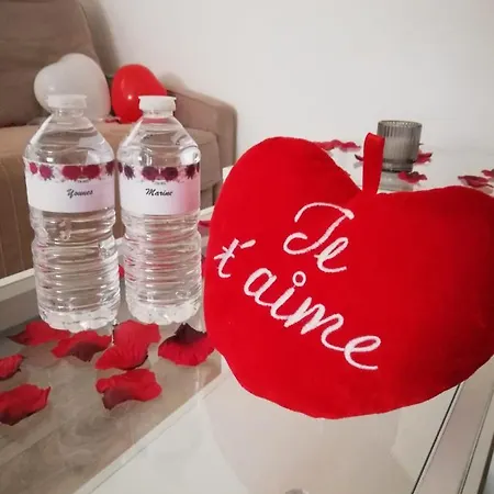 Logement Entier,Netflix, Jacuzzi En Option Apartmán Argenteuil